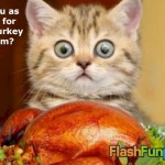 thanksgiving-turkey-ecard